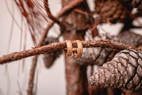 Joaillerie - Model