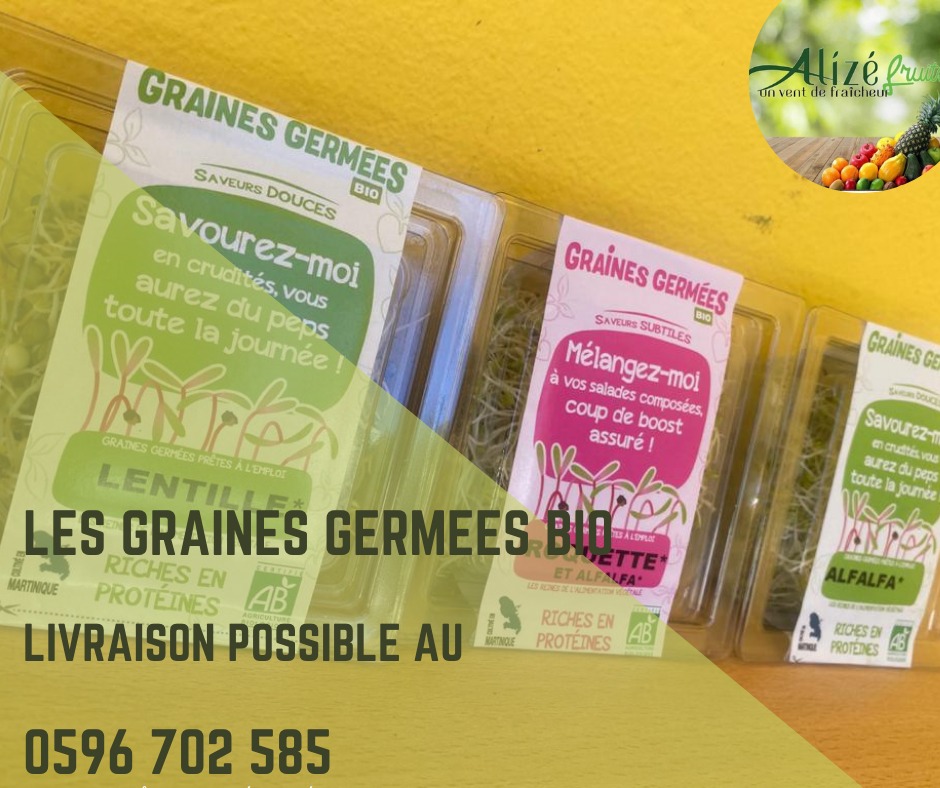 Alizé Fruits Plus : Un vent de fraîcheur