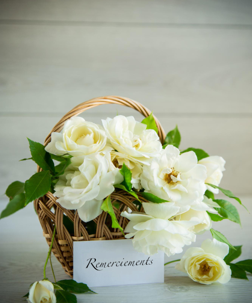 Remerciements